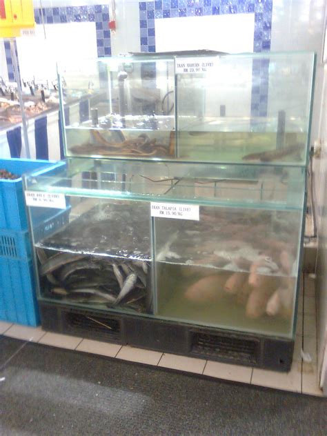 Makanan ikan keli untuk cepat besar | penternakan ikan keli. Diari Akuakultur Z Hasa Agrotech: Harga pasaran Ikan Air ...