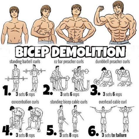Top 5 Muscle Building Exercises Building Exercises Muscle Top