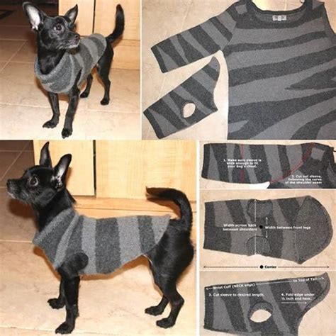 wonderful diy recycled dog  cat sweater