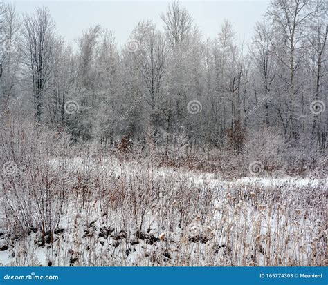 Late Fall Early Winter Landscape Stock Image Image Of Environment