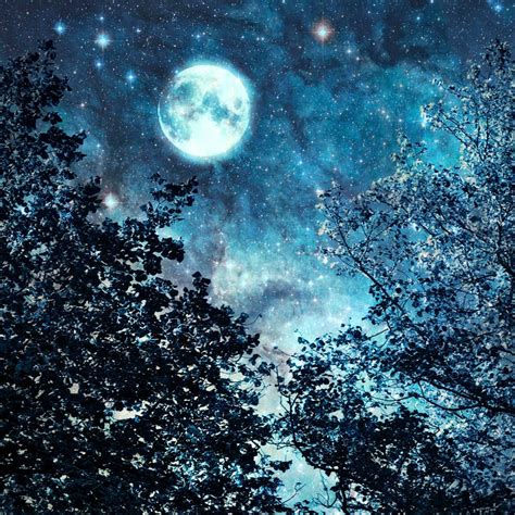 Nature Photography Blue Moon Night Sky Stars Trees Wall