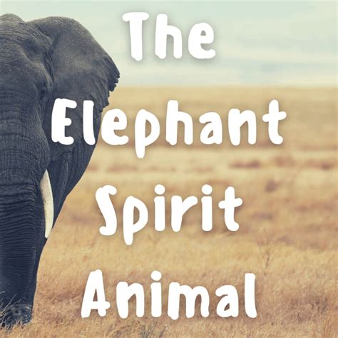 The Elephant Spirit Animal And Totem Meanings Yocean Yogi