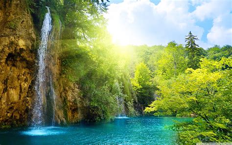 Forest Falls World Most Famous Waterfall Landscape Hd Wallpaper Peakpx