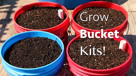 How To Start A Garden In A 5 Gallon Bucket Starting A