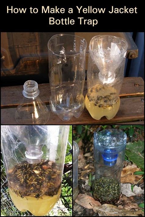 How To Make A Yellow Jacket Bottle Trap The Garden Homemade Bee Trap Yellow Jacket Trap