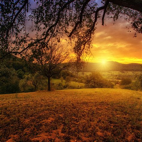 Aesthetic Nature Wallpapers - Top Free Aesthetic Nature ...