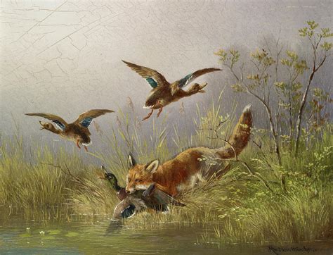 Fox Chasing Ducks Painting By Moritz Muller Fine Art America