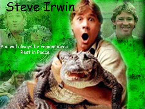 Steve Irwin Tribute By Spikeyspet121903 On Deviantart