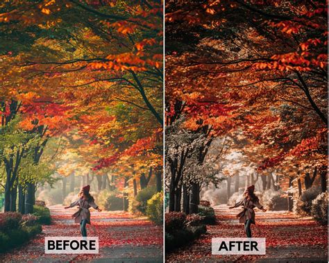 The presets work best for coastal, forest and mountain landscapes with clouds, fog or overcast skies. Moody Fall Lightroom Preset 5 Moody Autumn Lightroom ...