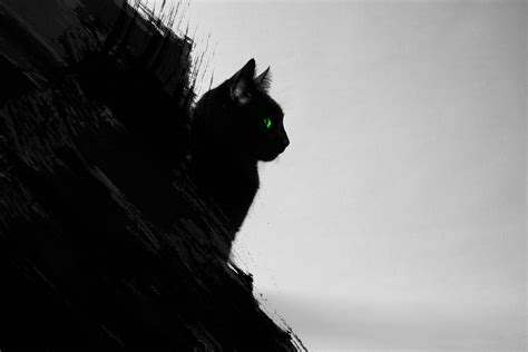 Black Cat Abstract By Emanuel96 On Deviantart