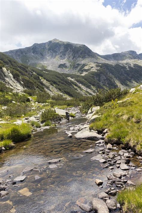 Paysage Avec Rivière Banderitsa Pirin Montagne Bulgarie Image Stock