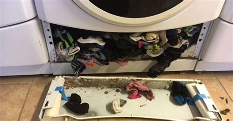 What we feel is the reason why bitcoin is going up right now. Do washing machines and dryers eat your missing socks?