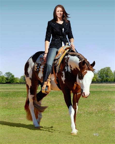 Pin By 𝓁 On Horsey Stuff Western Pleasure Horses American Paint