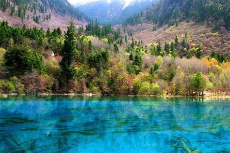 Le Lac Des 5 Fleurs Joyau Du Parc National Jiuzhaigou 2tout2rien