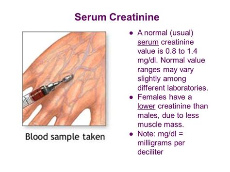 Low Serum Creatinine Indicates Low Creatinine Levels Causes Symptoms