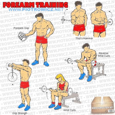 Forearm Workout For Mass Bodybuilding Workoutwalls
