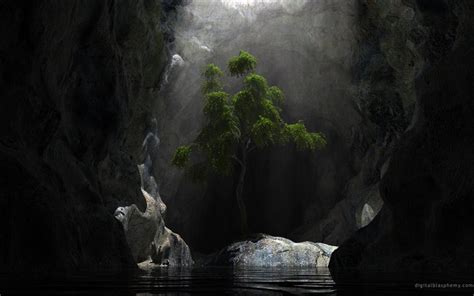 Tree Cave Sunlight Hd Wallpaper Nature And Landscape
