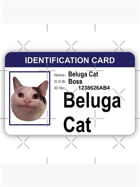 Beluga Cat Identification Card Poster For Sale By Mo91 Redbubble