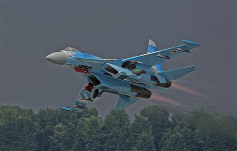 Forest The Rise Combat Aircraft Su 27 Flanker For Section авиация