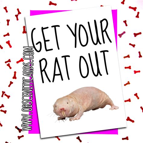Treat your loved one with these adorable valentine's day card ideas. Funny Valentines Day Card get your rat out
