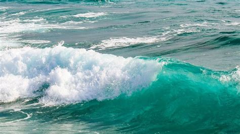 Novel Wave Device Could Deliver Low-Cost Clean Energy