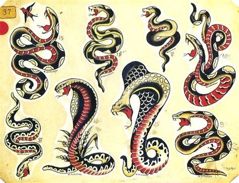 An Old Book With Different Types Of Snakes On It