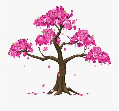 Blossom Cherry Tree Clipart Clip Cartoon Transpa