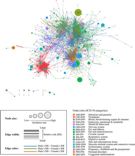 The Dpn Node Size Is Proportional To Disease Incidence And The Color