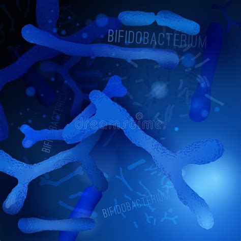 Bifidobacterium Horizontal Image Stock Vector Illustration Of