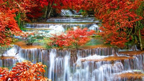 Beautiful Waterfall Rocks Green Moss Proxy Falls Eugene Cascades