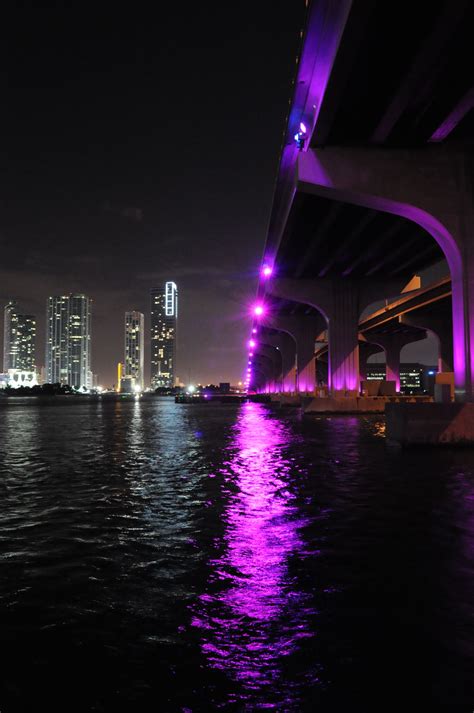 McArthur Causeway Bridge reflection, Miami Florida | Miami beach florida, Miami florida, Florida