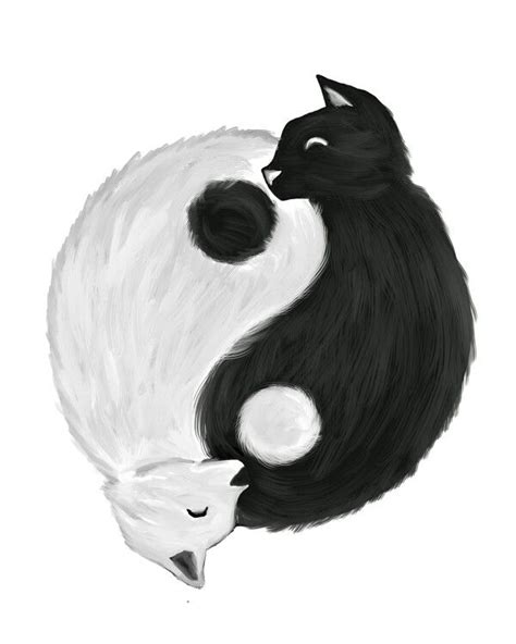 Ying And Yang Cats Animal Drawings Yin Yang Animals