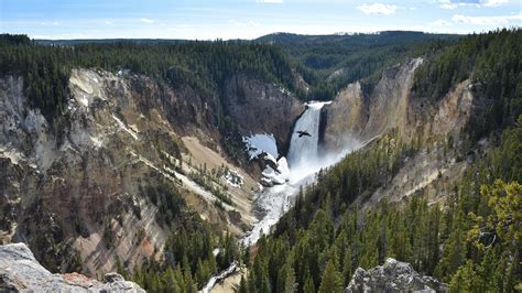 Yellowstone National Park Tips For Exploring The Park