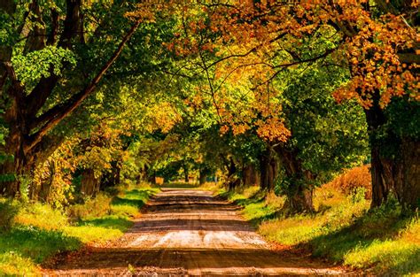 11 Pure Michigan Hiking Trails To See Brilliant Fall Colors Pure