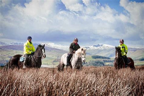 Horseback Riding Springhill Farm Riding Stables Oswestry Wales United