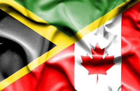 The company produces and distributes hydroponic indoor cannabis. Penny Stocks to Watch | FSD Pharma Expanding into Jamaica