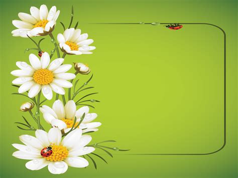 Ladybug And Daisies Backgrounds Flowers Green White Templates