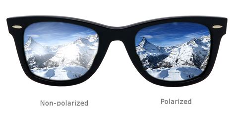 Ray Ban Polarized Vs Non Polarized - Homes & Apartments for Rent
