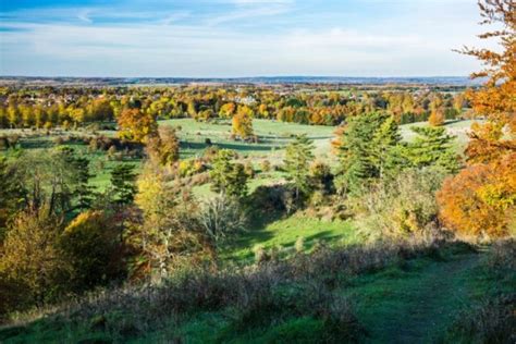 Tring Park Walk Chiltern Society