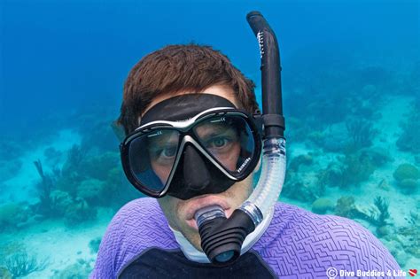A Beginners How To Snorkeling Guide Dive Buddies 4 Life
