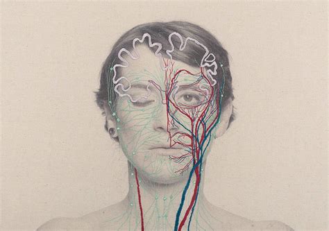 İnsan Anatomisine Sanatsal Bakış Art Artist Anatomy Art