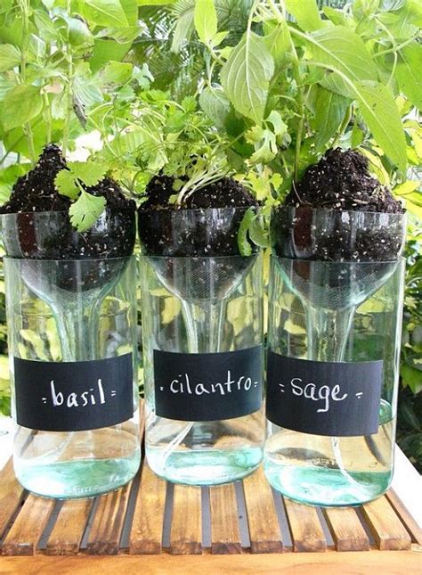 Self Watering Planters Using Wine Bottles Diy Tutorials