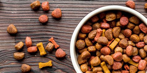Consumer Trends And What They Mean For Pet Food Processing Crb