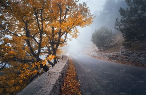 Road Through Autumn Foggy Forest High Quality Nature Stock Photos