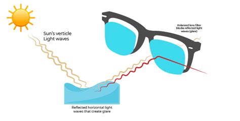 Polarized Sunglasses Smartbuyglasses Za