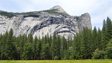 Wallpaper Yosemite 5k 4k Wallpaper 8k Forest Osx