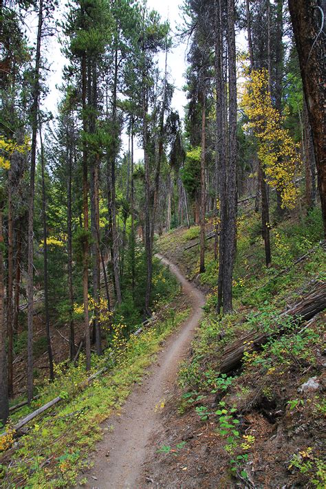 Mountainbiking The Monarch Crest Trail Epic In Colorado
