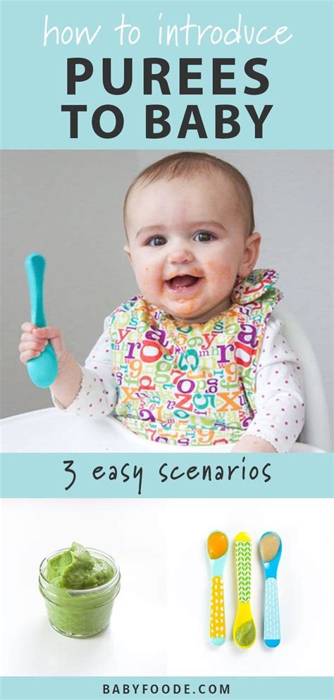 Ultimate Guide On How To Make Homemade Baby Food Baby Food Recipes