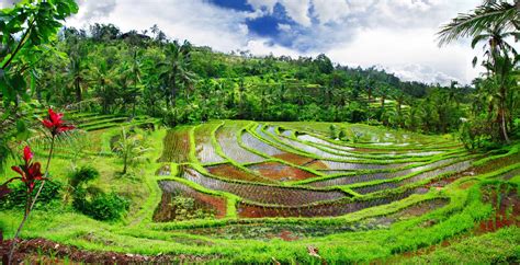 The Best Nature And Wildlife Trips In Bali Travel Magazine For A