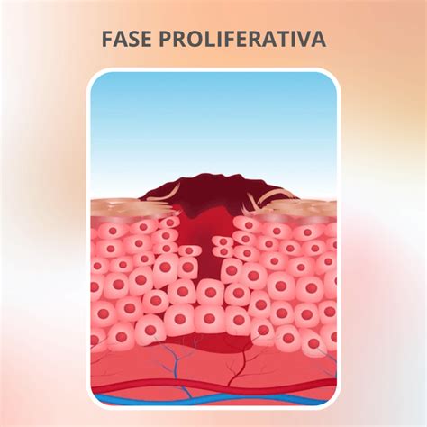 Exploring The Journey Of Dan Hughes At QVC